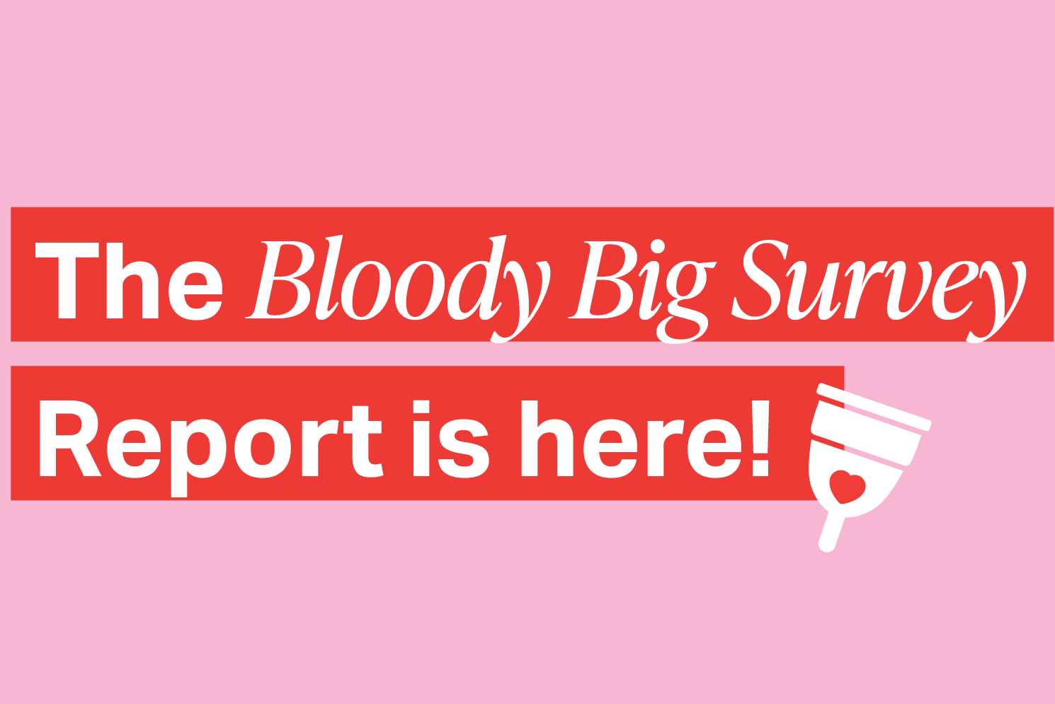 The Bloody Big Survey Report is here!