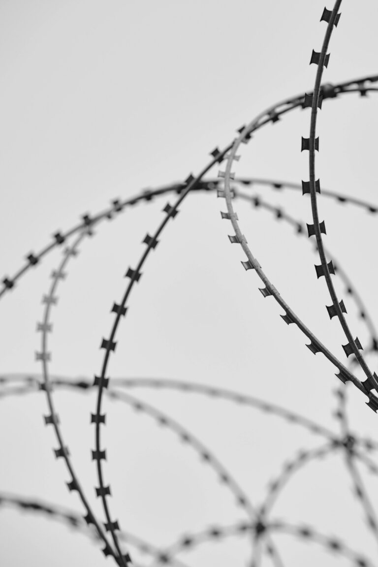 Periods in custody